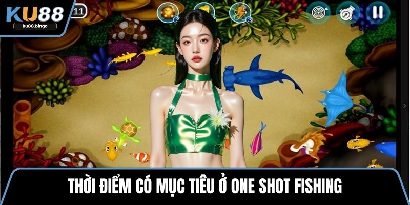 One Shot Fishing – Trải Nghiệm Dễ, Săn Thưởng Lớn 3 Thời điểm có mục tiêu ở One shot fishing